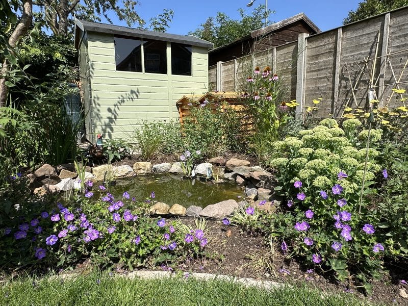 wildlife friendly oasis